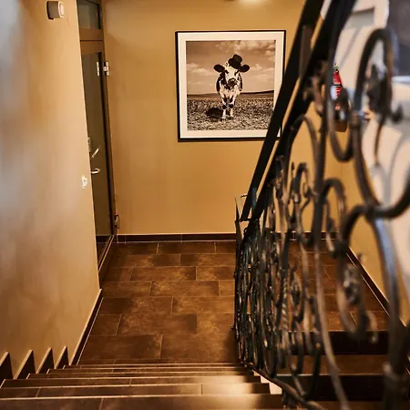 Evi Via We Rent Appartamento